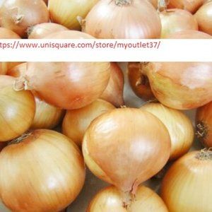 Texas Grano 502 Onion Seeds - NON-GMO - Vegetable Seeds - BOGO